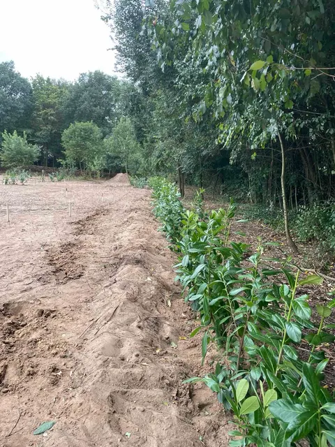 Aanleg van het bikepark, foto 21
