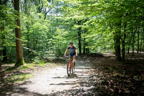 Jubileumfeest: 5 jaar MTB Club Epe, foto 14