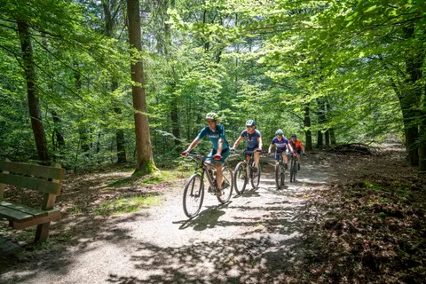 Jubileumfeest: 5 jaar MTB Club Epe, foto 15