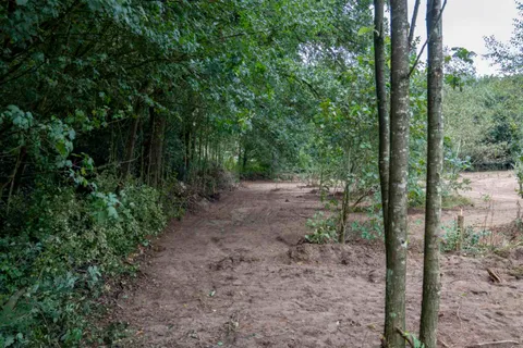 Aanleg van het bikepark, foto 7