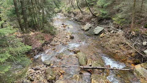 Weekend Eifel 2023, foto 7