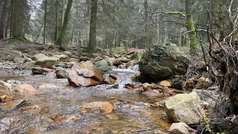Weekend Eifel 2023, foto 25