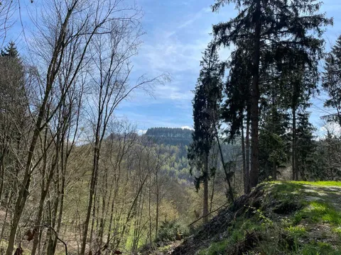 Weekend Eifel 2023, foto 20