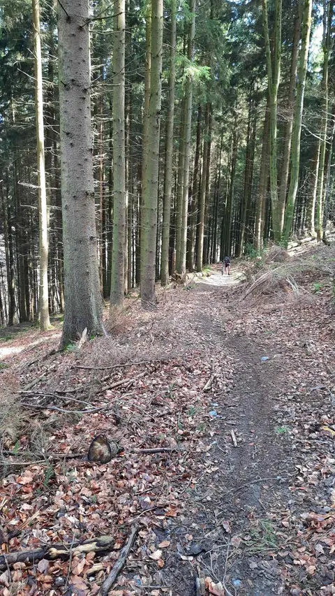 Weekend Eifel 2023, foto 11